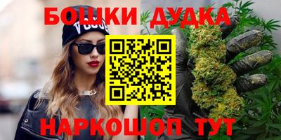 МДПВ Пушкино