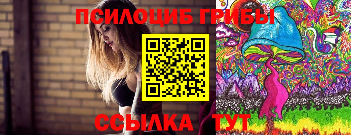 Сарапул  Галлюциногенные грибы Psilocybine cubensis  Вход с VPN 