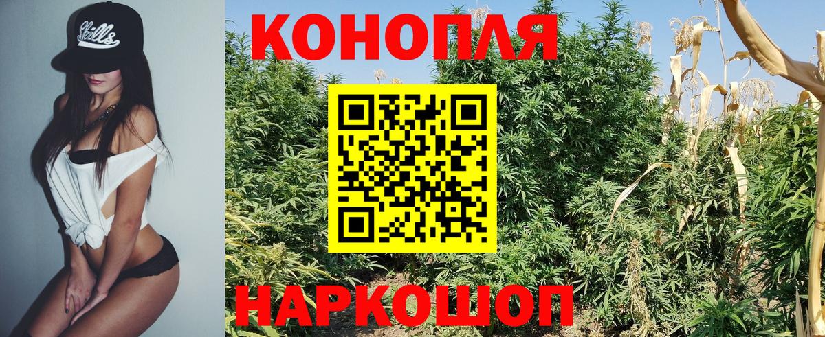 Бошки марихуана план  Бошки Шишки Ganja  Сарапул  Вход с VPN  МАРИХУАНА VHQ 